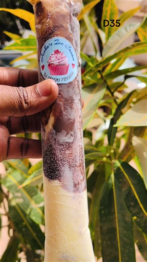 Homemade Popsicle Ice Cream Recipe