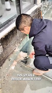 Time to make those glass surfaces sparkle! ✨ | Classic Cartoons