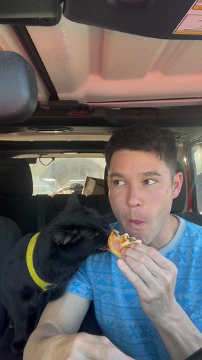 Even furry friends need boundaries #catsoftiktok #bestbuddy #bff