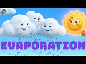 Making Water Disappear! Magic of Evaporation | Learn Science Videos for Kids