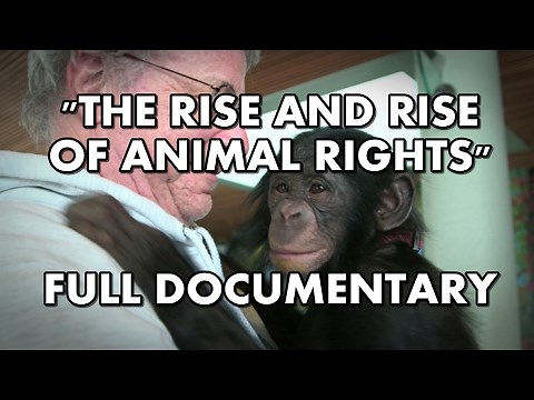 The Rise and Rise of Animal Rights | Full documentary