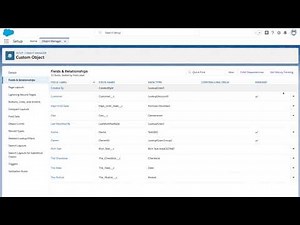 【機能紹介】3 分で分かるカスタムオブジェクト