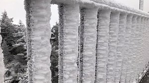 Want to know why the trees grow the way they do atop Grandfather Mountain? Join naturalist Lauren as she takes you to the Mile High Swinging Bridge on a #winter day. | Grandfather Mountain