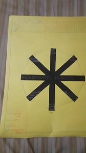 project work for social science # ss project # democracy # fundamental rights #songs