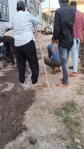 Ghar mein ghusa Snake 🐍|| Big Kobra || #shorts #trending #viral #snake #kobra #yt #youtubeshorts