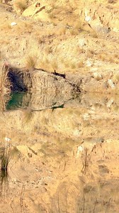 Raw At Pawan on Reels