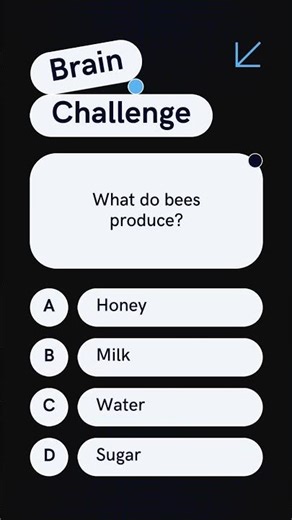 Fun Learning for Kids | ABCs and 123s | Educational Videos for Children