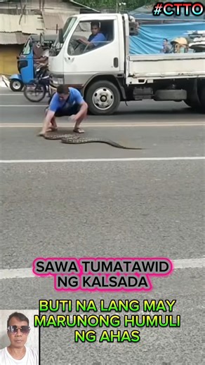 KAILANGAN SAGIPIN ANG SAWA NANG HINDI MASAGASAAN#python#crossing#trendingshorts#viralshorts