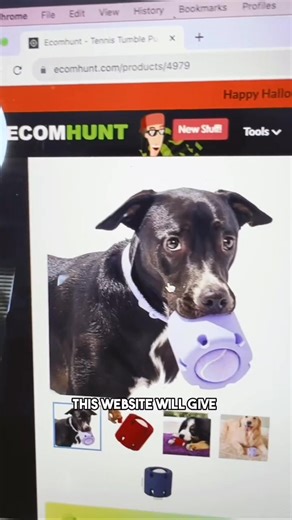 Comment “100” for list of 100 useful websites & follow for more secret websites . . . Useful website for finding products to sell online😎 #ecom #ecommerce #makemoney #makemoneyonlinenow | Cliff Pierre CEO