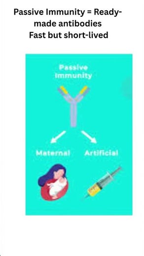 Active vs Passive Immunity in 30 Seconds! 💉🛡️ | Class 12 Biology Quick Revision