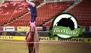 When you look good, you feel good. 'Like' BioMane Products and help your horses look and feel better than ever before. | BioMane Products