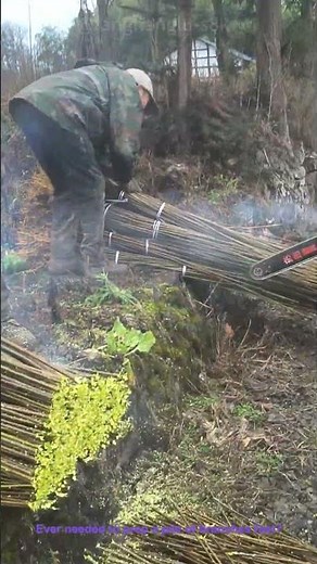 EASY Branch Trimming: Bundle & Cut with a Saw