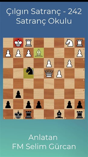 CRAZY CHESS - 242