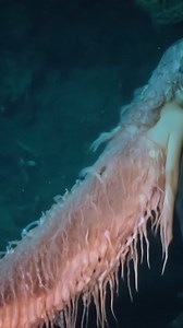 Deep Sea Mermaid CAUGHT In The Mariana Trench.mp4 | Ancient Aliens