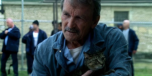 The Real-Life Mystery Behind Prison Break's Most Tragic Character Is Even Wilder Than The Show