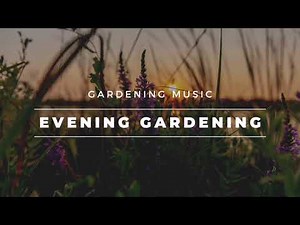 Daily BGM 日常 Gardening Music【Evening Gardening 傍晚园艺】全网最佳的园艺音乐心情陪伴｜纯音乐 | 轻音乐 | 音乐 陪伴 | 音乐 心灵 | 疗愈 平静