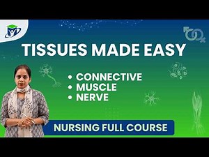 Tissue Types for Nursing Students | Reticular, Dense, Cartilage, Bone, Muscle, Neuron