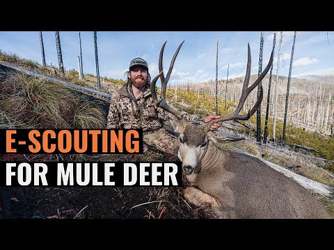 E-Scouting for Mule Deer with Brady Miller