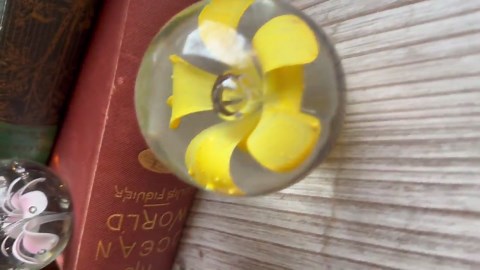 Vintage Murano Blown Glass Floral Paperweights- YOU CHOOSE- Office Decor- Glass Orb- Glass Sphere- Colorful Glass Paperweight With Flowers - Etsy