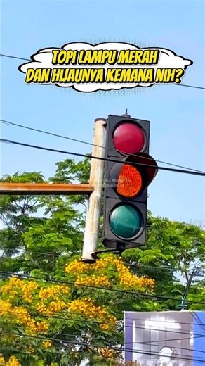 RED LIGHT 🚦 OR PINOCCHIO?! #trafficlight #redlight #trafficlight #apill #dishub #atcs #lamer