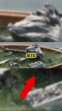 MCU Details You Missed #shorts