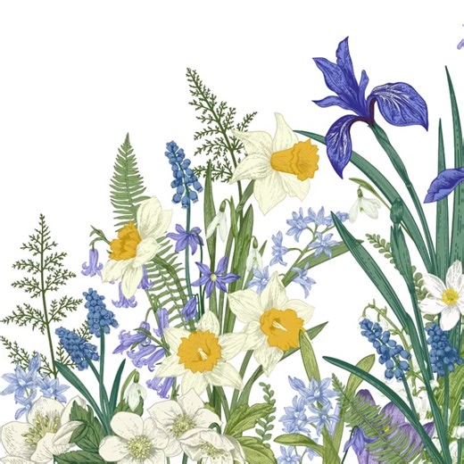 SPRING WINDOW CLING :: Botanical Spring Flower in all their beauty. This double-sided window cling decal features Irises, Snowdrop, Daffodils, Ferns and Crocuses. It's a gorgeous Spring / Summer border for any window or glass door in your home or place of business. SIZE / DIMENSIONS :: 46