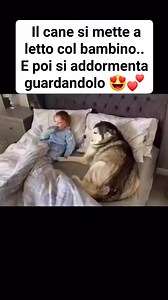 Quando l'amore va..oltre.. 🥹💖 #amore #Animali #bambini | Billoccino.com