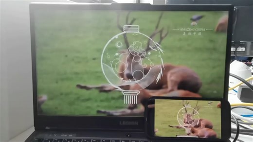Windows实现RTMP同屏推流，iOS拉取RTMP流播放
