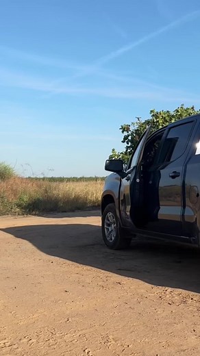 Arriba mexico! | mexico