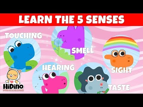 The 5 Senses | Learn the five senses | HiDino Kids Songs