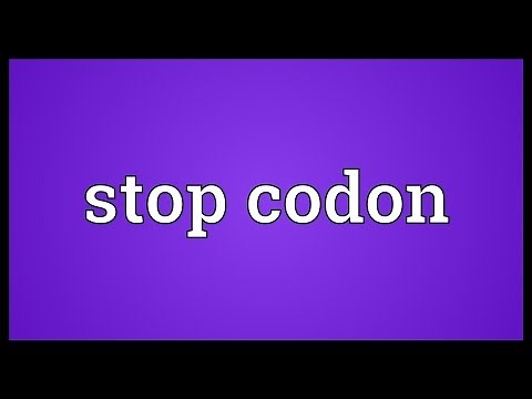 Stop codon Meaning