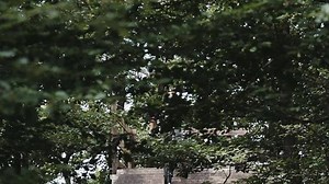 1.6K views · 13 reactions | Unser Testbericht zu den Schwalbe tires „Hans Dampf“ Reifen, geht morgen im Laufe des Tages online. Hier aber schon mal ein Vorgeschmack auf unser Testvideo, welches wir bei bestem Bedingungen im BikePark Boppard gedreht haben!  #mtb #review #gripisyourfriend | Gravity Mountainbike Magazine | Facebook