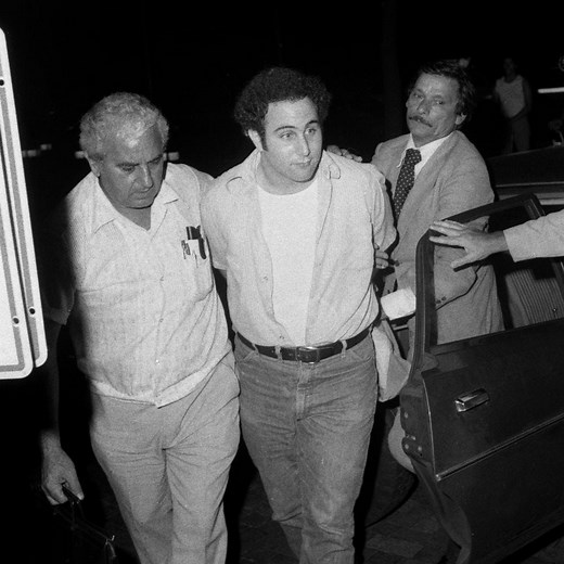 'Mindhunter' Featured the True Story of 'Son of Sam' Killer David Berkowitz. Here's What You Need to Know.