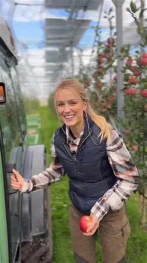 PR🍎ЯБЛОКО on Instagram: "Яблоко, которое даёт свет 💡 Что общего у яблок и электричества? Больше, чем кажется на первый взгляд. 🌱⚡️ Agri-PV — это технология, при которой сельское хозяйство и выработка электроэнергии объединяются на одной и той же площади. И сегодня это уже не концепция, а работающая модель. На видео — исследовательская площадка в районе Карлсруэ, где Agri-PV установка тестируется в сотрудничестве с Центром сельскохозяйственных технологий и Fraunhofer ISE. 🔍 Что показано на об