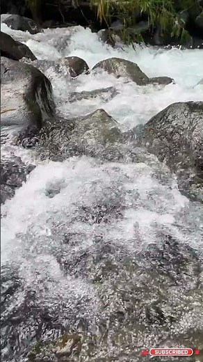 Peaceful Mind River Sound Medicine by a Gentle Stream for Study Focus Sleep 💧