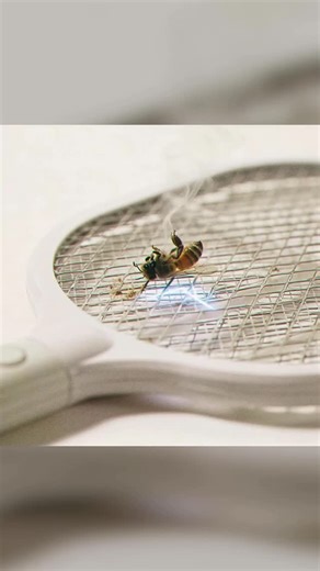 ©️ on Instagram: "HAPPY NEW YEAR. 2000 🤮COMMENTS… & I’LL DROP… YANO… PEST CONTROL. CONTEXT… SORRY I’M LATE… I WAS AT ME EVENT… LATE ONE. THEN SORTING THE PROMO CLIP AND STUFF… YH. 🐝🏸🏄🏾‍♂️💫🐾"