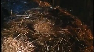 Angel of Death (1990) Welcome to the movies movies television