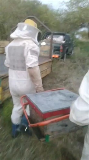 Did you know about this beekeeping tool? #leobesson #tools