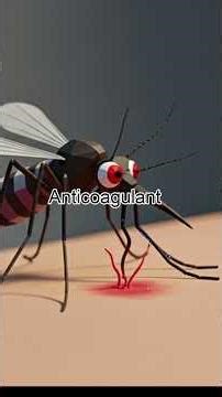 How Mosquitoes Find and Feed on Humans