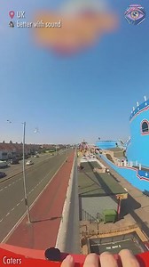 This bird unleashed its inner ‘Captain Jack Seagull’ as it ran for its life😂 | SLICK SLIME SAM