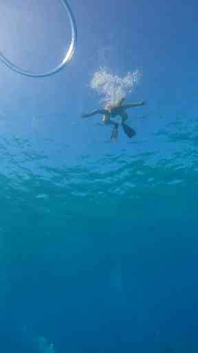 Diving Inside the Ring of Bubbles – A Mesmerizing Underwater Adventure!