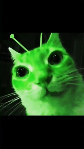 zeb zeb zeb #roblox #forsaken #forsakenroblox #007n7 #c00lkidd #fpy #aliens #animation