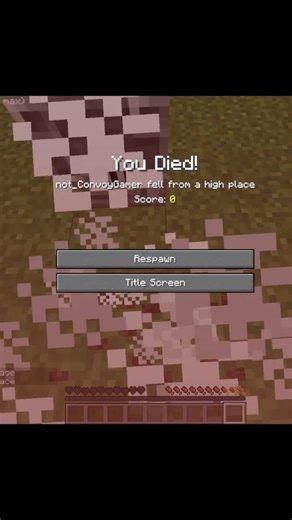 Peak Ladder clutch 🗿