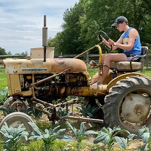22 reactions | Throwing it back five decades as we cultivate and fertilize brassicas with our International Cub from the 1970s. | Turner Farm | Facebook