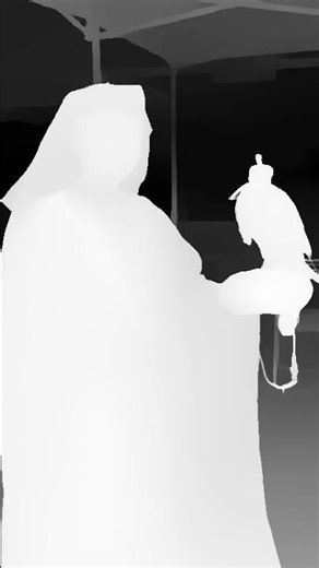 My pet falcon... storm