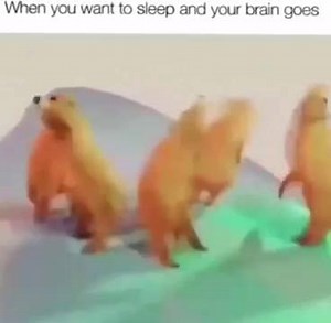 Just another meme page on Reels