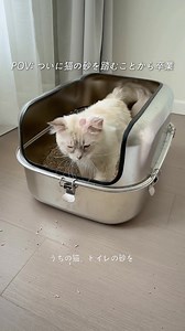 ＼猫ちゃんのための新習慣！繰り返し使えるトイレマット登場🐾／ 砂を全部キャッチ、トイレ周りが快適に！何度でも使えてエコで安心。お掃除ラクラク、猫ちゃんも大満足✨猫ちゃんにも優しい便利アイテム、今すぐチェック！ #猫用トイレマット #繰り返し使える #ペット用品 #便利アイテム #猫の健康 #Temu #テム | Temu Japan