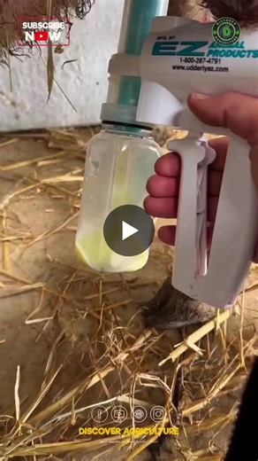 #goatmilk #milking #tool #machine #technology | Discover Agriculture