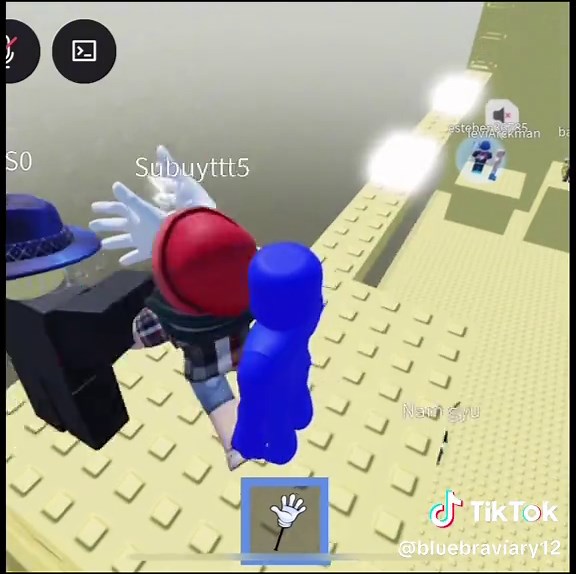 Exploring the Blue Meme Culture in Roblox