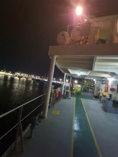 hermosa vista buque Water lily 🚢 #excavator